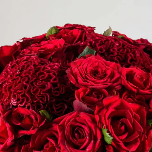 Picture for category احمر