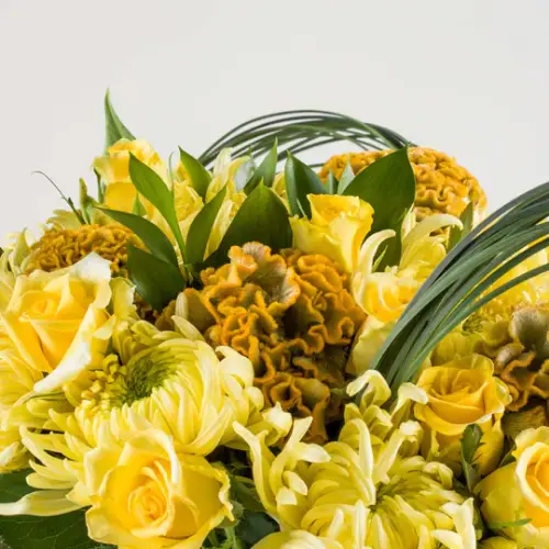 Picture for category اصفر