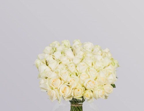 Picture of الاشراق النقي