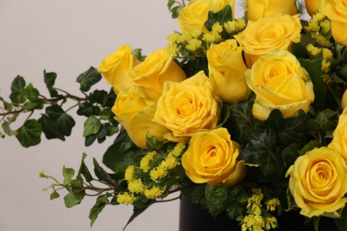 Picture of The Bright Yellow Rose BOX 