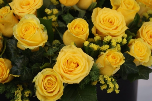 Picture of The Bright Yellow Rose BOX 