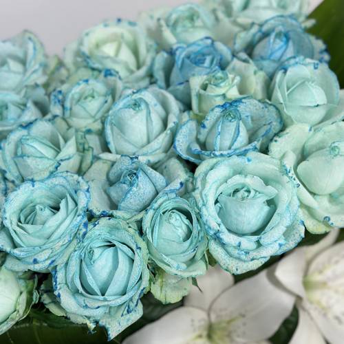 Picture for category ازرق